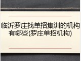 临沂罗庄找单招集训的机构有哪些(罗庄单招机构)