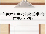 乌鲁木齐中考艺考美术(乌市美术中考)