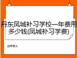 丹东凤城补习学校一年费用多少钱(凤城补习学费)