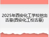 2025年西安化工学校挖出古墓(西安化工校古墓)