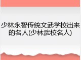 少林永智传统文武学校出来的名人(少林武校名人)