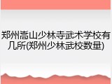 郑州嵩山少林寺武术学校有几所(郑州少林武校数量)