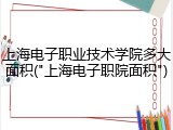 上海电子职业技术学院多大面积("上海电子职院面积")