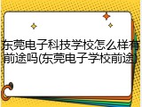 东莞电子科技学校怎么样有前途吗(东莞电子学校前途)