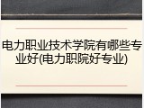 电力职业技术学院有哪些专业好(电力职院好专业)