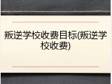 叛逆学校收费目标(叛逆学校收费)