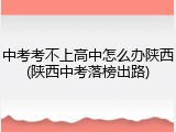 中考考不上高中怎么办陕西(陕西中考落榜出路)