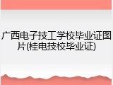 广西电子技工学校毕业证图片(桂电技校毕业证)
