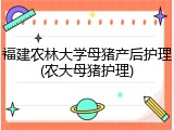福建农林大学母猪产后护理(农大母猪护理)