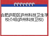 合肥庐阳区庐州科技卫生学校介绍(庐州科技卫校)