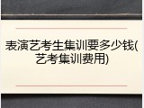 表演艺考生集训要多少钱(艺考集训费用)