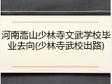 河南嵩山少林寺文武学校毕业去向(少林寺武校出路)