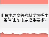 山东电力高等专科学校招生条件(山东电专招生要求)
