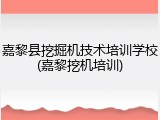 嘉黎县挖掘机技术培训学校(嘉黎挖机培训)
