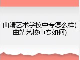 曲靖艺术学校中专怎么样(曲靖艺校中专如何)