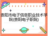 贵阳市电子信息职业技术学院(贵阳电子职院)