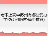考不上高中苏州有哪些民办学校(苏州民办高中推荐)