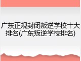 广东正规封闭叛逆学校十大排名(广东叛逆学校排名)