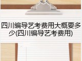 四川编导艺考费用大概要多少(四川编导艺考费用)