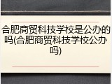 合肥商贸科技学校是公办的吗(合肥商贸科技学校公办吗)