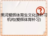 黑河爱辉体育生文化课补习机构(爱辉体育补习)