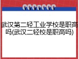 武汉第二轻工业学校是职高吗(武汉二轻校是职高吗)