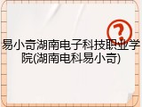 易小奇湖南电子科技职业学院(湖南电科易小奇)