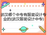 武汉哪个中专有服装设计专业的(武汉服装设计中专)