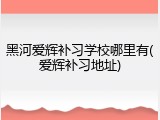 黑河爱辉补习学校哪里有(爱辉补习地址)
