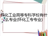 怀化工业高等专科学校有什么专业(怀化工专专业)