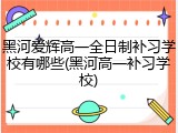 黑河爱辉高一全日制补习学校有哪些(黑河高一补习学校)