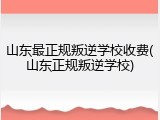 山东最正规叛逆学校收费(山东正规叛逆学校)