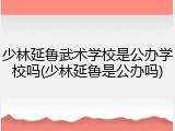 少林延鲁武术学校是公办学校吗(少林延鲁是公办吗)