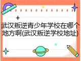 武汉叛逆青少年学校在哪个地方啊(武汉叛逆学校地址)