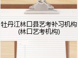 牡丹江林口县艺考补习机构(林口艺考机构)