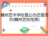 赣州艺术学校是公办还是民办(赣州艺校性质)