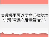 清远哪里可以学产后修复培训班(清远产后修复培训)