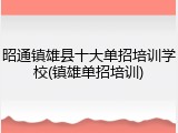 昭通镇雄县十大单招培训学校(镇雄单招培训)