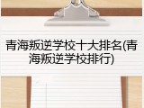 青海叛逆学校十大排名(青海叛逆学校排行)