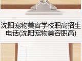 沈阳宠物美容学校职高招生电话(沈阳宠物美容职高)
