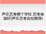 声乐艺考哪个学校 艺考表演好(声乐艺考名校推荐)