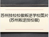 苏州技校校徽叛逆学校图片(苏州叛逆技校徽)
