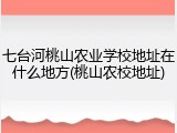 七台河桃山农业学校地址在什么地方(桃山农校地址)