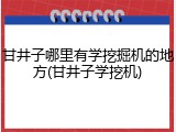 甘井子哪里有学挖掘机的地方(甘井子学挖机)