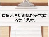 青岛艺考培训机构美术(青岛美术艺考)