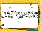 广东电子商务专业学校有哪些学校(广东电商专业学校)
