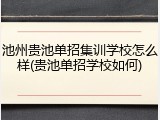 池州贵池单招集训学校怎么样(贵池单招学校如何)