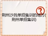 荆州沙找单招集训的地方(荆州单招集训)