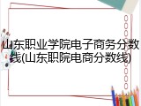 山东职业学院电子商务分数线(山东职院电商分数线)