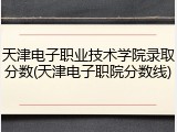 天津电子职业技术学院录取分数(天津电子职院分数线)